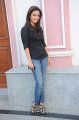 Nisha Agarwal Photo shoot Gallery