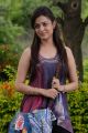 Actress Nisha Agarwal Stills in Saradaga Ammaito Movie