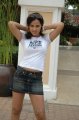 Nisha Kothari Latest Hot Pics