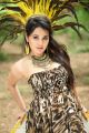 O Ravana Lanka Movie Actress Nisha Kothari Hot Photos