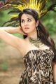 O Ravana Lanka Movie Actress Nisha Kothari Hot Stills