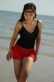 Telugu Actress Nisha Kothari Latest Hot Pictures
