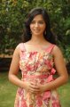 Telugu Actress Nisha Shah in Skirt Pics