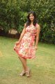 Nisha Shah Hot in Skirt Stills