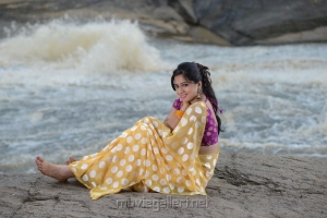 Telugu Actress Nisha Shah Hot Saree Stills