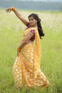 Actress Nisha Shah Hot Saree Photos in Oke Okka Chance Movie