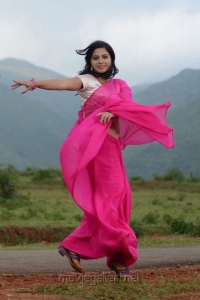 Actress Nisha Shah in Saree Photos