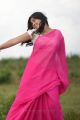 Telugu Actress Nisha Shah Hot Saree Photos in Oke Okka Chance Movie