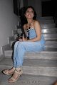 Nisha Shetty Stills