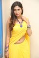 Telugu Actress Nishi Ganda Yellow Saree Hot Stills