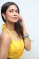 Actress Nishi Ganda at Tik Tik Tik Digital Poster Launch