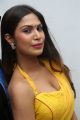 Telugu Actress Nishi Ganda Yellow Saree Hot Stills