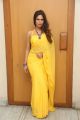Actress Nishi Ganda Yellow Saree Hot Stills