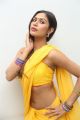 Actress Nishi Ganda Hot in Yellow Saree Stills