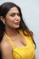 Actress Nishi Ganda Hot in Yellow Saree Stills
