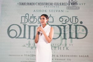 Actress Ritu Varma @ Nitham Oru Vaanam Pre Release Event Stills