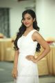 Actress Nithya Shetty New Hot Photos