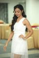 Actress Nithya Shetty New Photos @ Santosham Film Awards 2018 Curtain Raiser