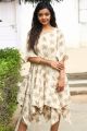 Telugu Actress Nithya Shetty Pics @ IKAT Art Mela Launch