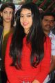 Telugu Actress Neethi Taylor New Images