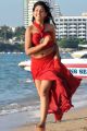 Actress Niti Taylor Spicy Hot Images in Pelli Pustakam Movie
