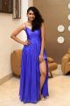 Actress Nithya Naresh Images @ Operation Gold Fish Movie Pre Release