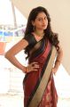 Actress Nitya Naresh in Saree HQ Photos