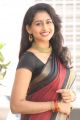 Actress Nithya Naresh Saree Photos