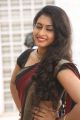 Actress Nitya Naresh in Saree Photos