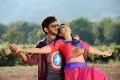 Nivasi Movie Sekhar Varma, Viviya Stills HD