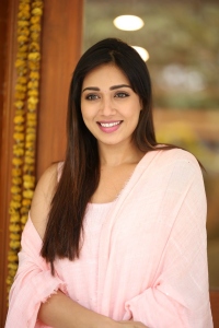 Das Ki Dhamki Actress Nivetha Pethuraj Interview Stills