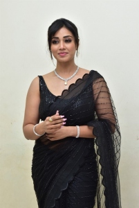 Actress Nivetha Pethuraj in Black Saree Photos