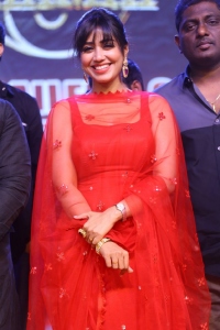 Das Ka Dhamki Actress Nivetha Pethuraj New Pics