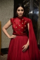 Actress Nivetha Pethuraj New Pics in Red Dress