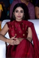 Actress Nivetha Pethuraj New Pics in Red Dress