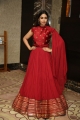 Actress Nivetha Pethuraj New Pics in Red Dress