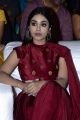 Actress Nivetha Pethuraj Red Dress Pics