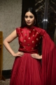 Actress Nivetha Pethuraj New Pics in Red Dress