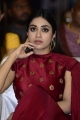 Actress Nivetha Pethuraj New Pics in Red Dress