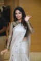 Tamil Actress Nivetha Pethuraj New Saree Pics HD
