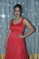 Actress Nivetha Pethuraj Pictures @ Paagal Pre Release Event