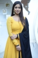 Red Movie Actress Nivetha Pethuraj in Yellow Salwar Kameez Photos