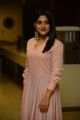 Actress Nivetha Thomas New Pics @ Brochevarevarura Success Meet