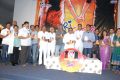 NRI Telugu Movie Audio Release Function Stills