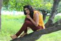 Actress Shravya Reddy in NRI Movie Stills