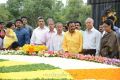 Nandamuri family at NTR ghat on his birth anniversary