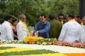 Nandamuri family at NTR ghat on his birth anniversary