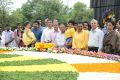 Nandamuri family at NTR ghat on his birth anniversary