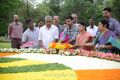 NTR 91st Jayanthi Celebrations @ NTR Ghat Photos