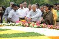 Nandamuri family at NTR ghat on his birth anniversary